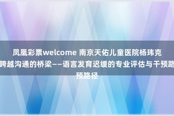 凤凰彩票welcome 南京天佑儿童医院杨玮克：跨越沟通的桥梁——语言发育迟缓的专业评估与干预路径
