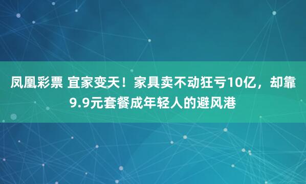 凤凰彩票 宜家变天!家具卖不动狂亏10亿,却靠9.9元套餐成年轻人的避风港