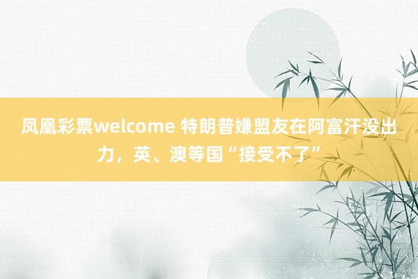 凤凰彩票welcome 特朗普嫌盟友在阿富汗没出力,英、澳等国“接受不了”