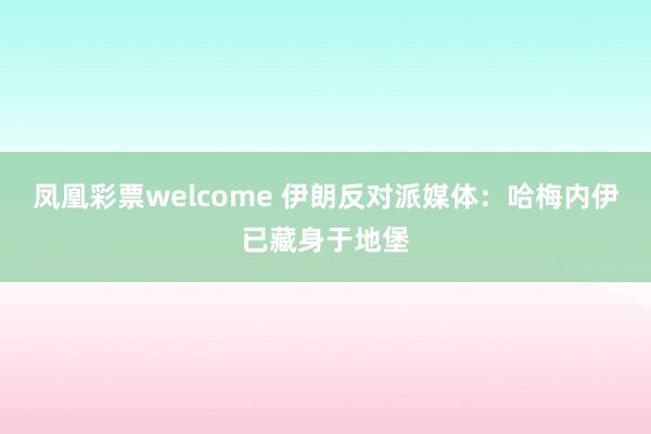 凤凰彩票welcome 伊朗反对派媒体：哈梅内伊已藏身于地堡