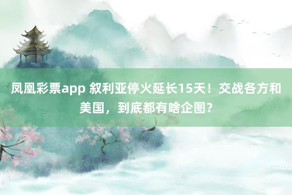 凤凰彩票app 叙利亚停火延长15天！交战各方和美国，到底都有啥企图？