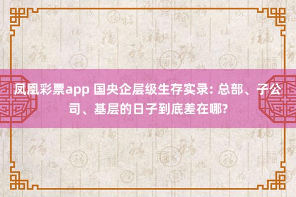 凤凰彩票app 国央企层级生存实录: 总部、子公司、基层的日子到底差在哪?