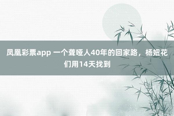 凤凰彩票app 一个聋哑人40年的回家路，杨妞花们用14天找到