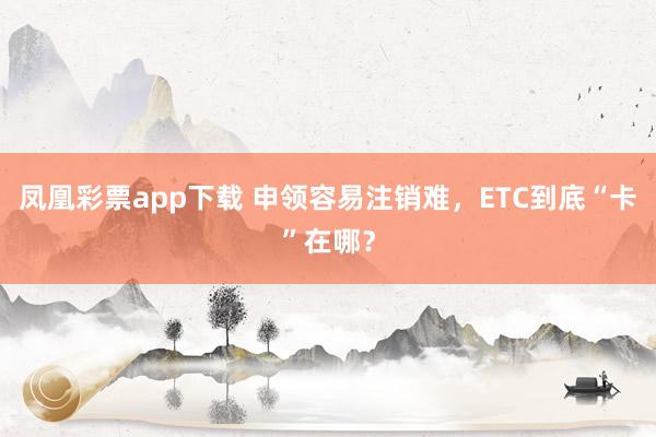 凤凰彩票app下载 申领容易注销难，ETC到底“卡”在哪？