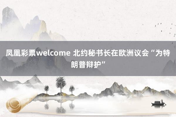 凤凰彩票welcome 北约秘书长在欧洲议会“为特朗普辩护”