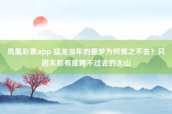 凤凰彩票app 猛龙当年的噩梦为何挥之不去?只因东部有座跨不过去的大山