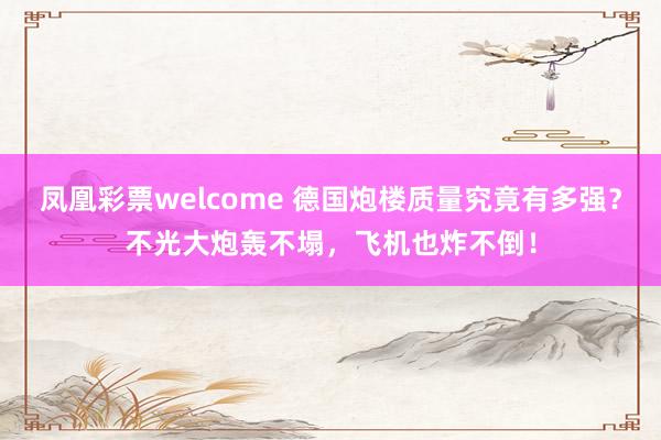 凤凰彩票welcome 德国炮楼质量究竟有多强？不光大炮轰不塌，飞机也炸不倒！