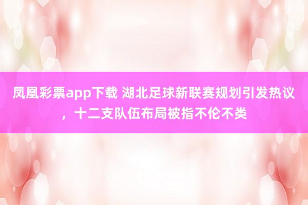 凤凰彩票app下载 湖北足球新联赛规划引发热议,十二支队伍布局被指不伦不类