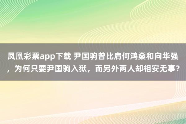 凤凰彩票app下载 尹国驹曾比肩何鸿燊和向华强，为何只要尹国驹入狱，而另外两人却相安无事？