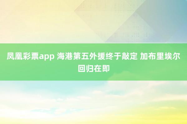 凤凰彩票app 海港第五外援终于敲定 加布里埃尔回归在即