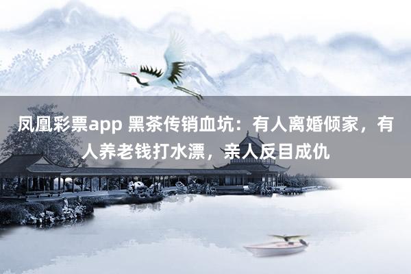 凤凰彩票app 黑茶传销血坑：有人离婚倾家，有人养老钱打水漂，亲人反目成仇