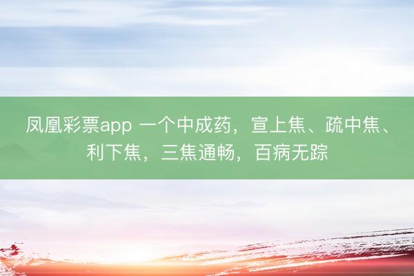 凤凰彩票app 一个中成药，宣上焦、疏中焦、利下焦，三焦通畅，百病无踪