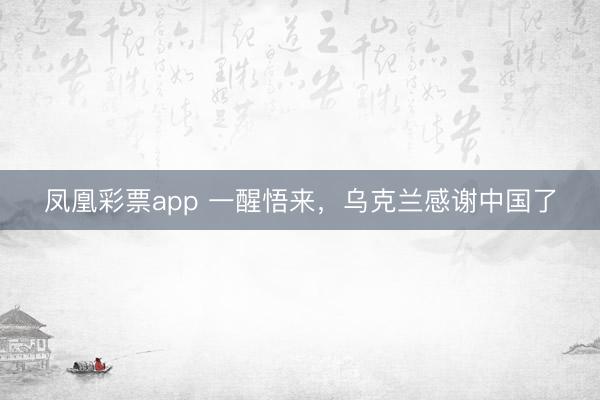 凤凰彩票app 一醒悟来,乌克兰感谢中国了