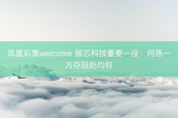 凤凰彩票welcome 振芯科技重要一役:何燕一方夺回处均权