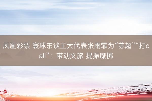 凤凰彩票 寰球东谈主大代表张雨霏为“苏超”“打call”：带动文旅 提振糜掷