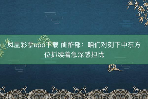 凤凰彩票app下载 酬酢部：咱们对刻下中东方位抓续着急深感担忧
